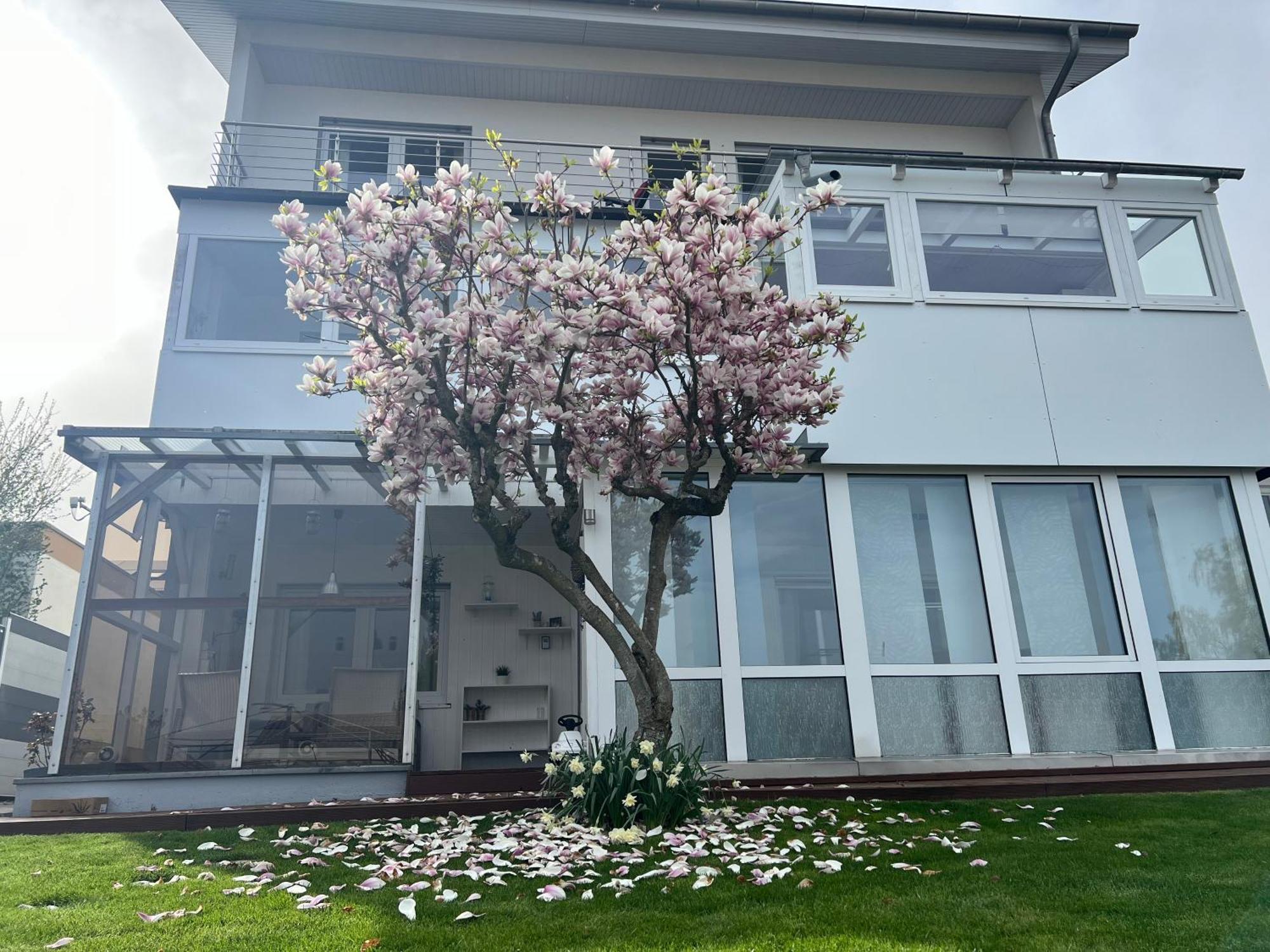 Ferienwohnung Schwarzwald Lodge Schömberg Esterno foto